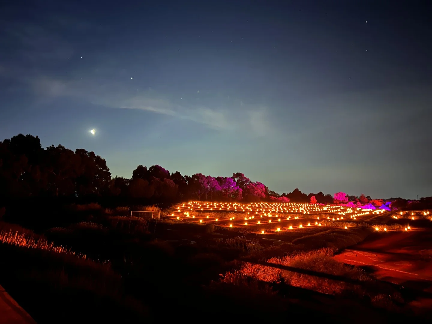 Lightfall illuminated artwork installation, Cranbourne